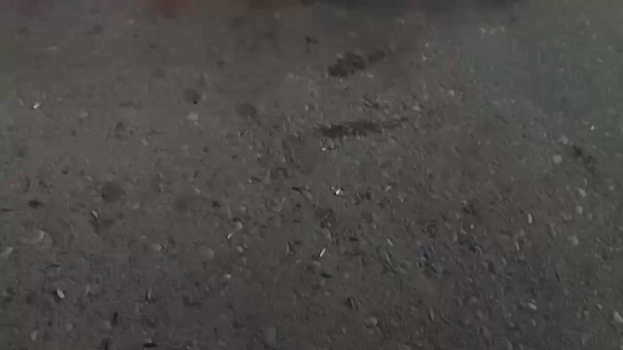 جني موديل ٢٥ نظافة فول كهربائيات كلها شغاله منفيس موجود مراوس ويا سافين موديل ٢٣ وفوك أو للبيع بسعر ٦٥٠ وبيه مجال للشراي مكاني كركوك ***********
