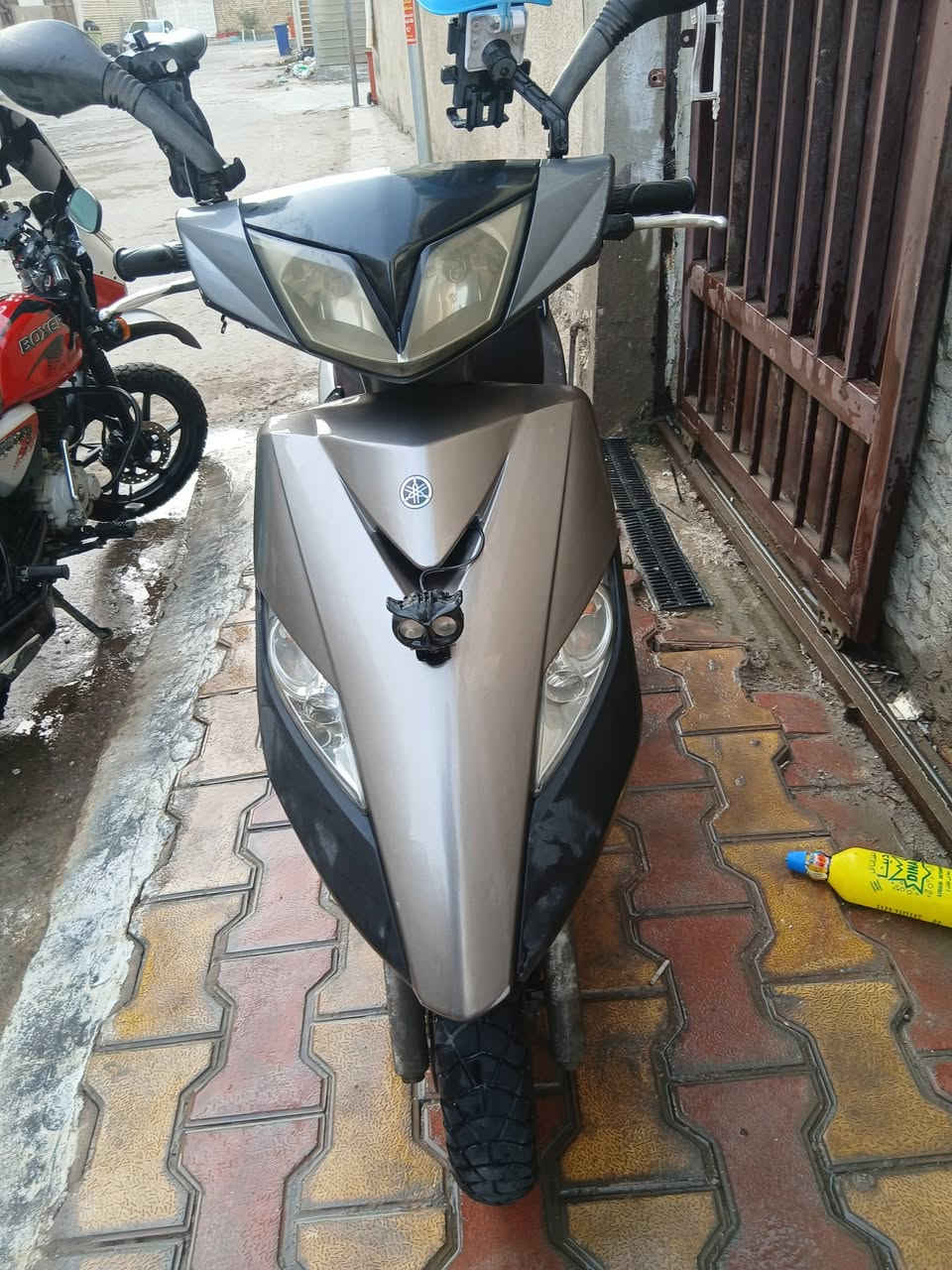 سلام عليكم مرخصت الادمن المحترم ماكس ثعلب للبيع او مراوس سكنس فحل مكينه مجفته تجفيت مضبوط كفرات ختم واحد مكاني دوره حي صحه***********واتساب
