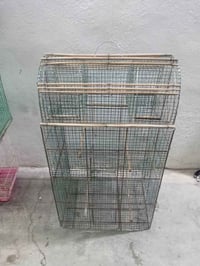 اقفاص بلابل • نضيفات • كركوك روناكي