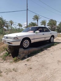 مارك عضم • ١٩٩١ • نجف