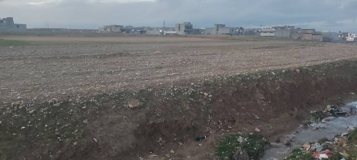 ارض  للبيع في حي الزيتون مساحتها 240م جمعية المهن الصحية سعر الارض 25 مليون قابل للتفاوض للاستفسار الاتصال على الارقام   *********** او ***********
