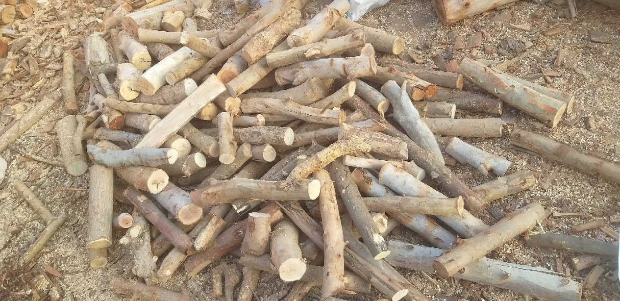 سلام عليكم خشب مشرح واكو  بدون تشريح للبيع المكان ألانبار  الحبانيه يوجد توصيل حسب المكان *********** 👉بي وات ساب
