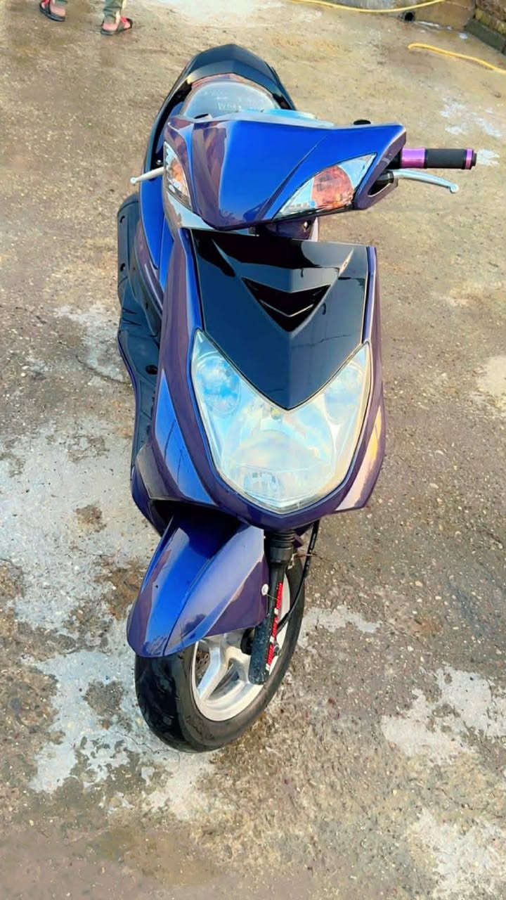 سلام عليكم اخوان سكنس فحل مكفوله كفاله عامه دراجه خير من لله ماعايزه اي شي صارله سبوع طالعه من الحاويه حتاجيت وريد ابيعه ***********
