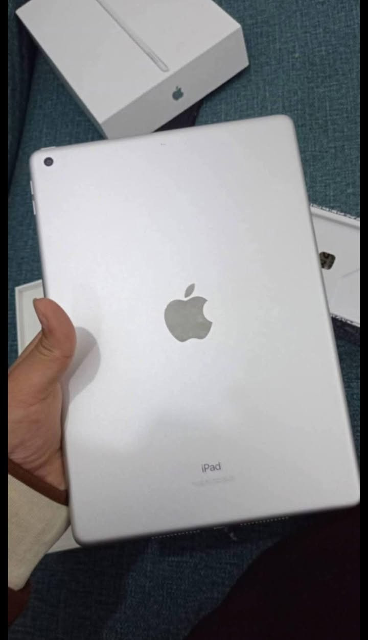 ايباد9للبيع
السعر/225وبي مجال
النضافه/100/100
الذاكره/64
كامل الملحقات كارتونته وشاحنته والوصل مال الشراء 
المكان/الديوانيه حي الجامعه
الاستفسار خاص


**إذا كنت صاحب هذا الإعلان وتريد حذفه لأي سبب، رجاءا أرسل رسالة إلى الدعم الفني**