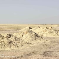 تبن نظيف • ٤٥ كبسة • البيجي الصينية