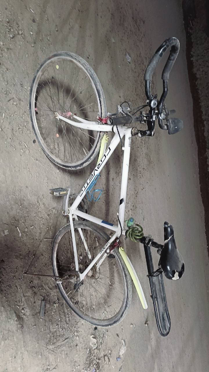 ااالسلام عليكم شباب دراجه س700 نضيفه وشغاله كيوره 7نمر وخفيفه  الوزن ومثل ماواضحه كدامك سعر80 مال بيع مستعجل


**إذا كنت صاحب هذا الإعلان وتريد حذفه لأي سبب، رجاءا أرسل رسالة إلى الدعم الفني**