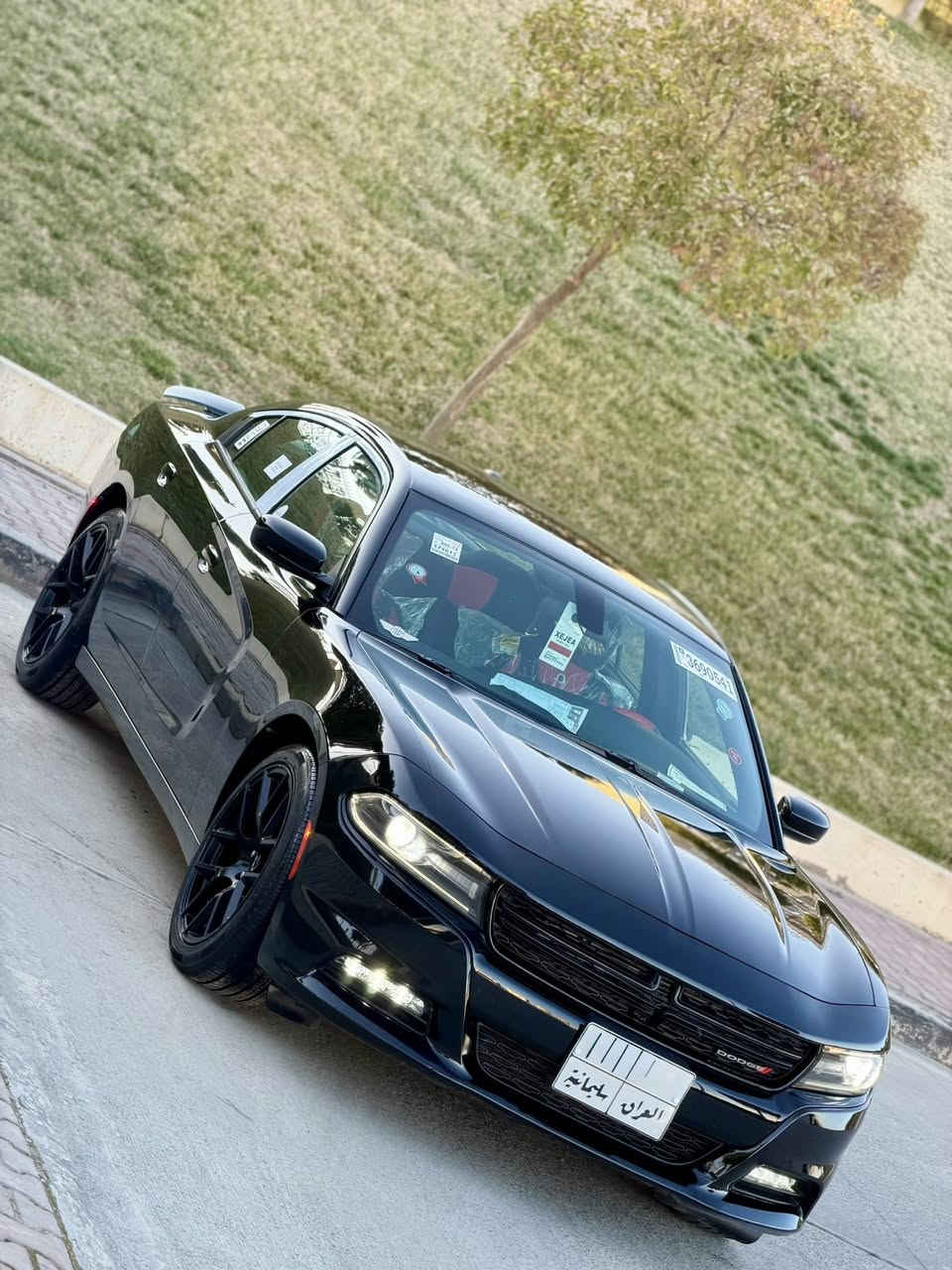 #دوج_جارجر_فىهSXT_🪬

#حجم_3600__V __6__ #كلين_تاتل
#بيها_جاملغ_خلفي_كلير_فقط
#كفالة_عامة_صبغ_بارد_تعديل_حالوب_تبدل_بشرط

#كير_مكينه_حدادية__كهرباىيات_كلها_بشرط
#جديدة_كلش_سيارة_نظافة  100‎%‎1000

‏
#سعرها_210$ #وبيها_مجال__موديل2018
#بصمتين_موجوادات_غراض_شركة_كلها_موجوده

#موقع_السيارة_بسلمانية📍
#الموصفات_
بصمة •تشغيل عن بعد •لد امامي •سستم صوت •
تدفى كشنات •صاجات بلاك •تحكم ستيرن •مانع انزلاق •
•مريات كهرباىية +مريات اتو قلابة •منفذ 220•ثلاجة •
ويل بلاك حجم رياضي •دشبول ليزري • مريايه عاكسه
•لايت كهربائية •لايت زنون عالي ناصي بلوجكتر LEd •
•تبريد منفصل شاشة نظام قيادة•شاشة جبيره 

الاستفسار ⬇️
#الاتصال__***********__***********
#حجي_وليد_الجنابي
