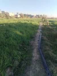 ارض زراعيه • اكثر من ٢ دونم • الحمزه الشرقي الجعفريه