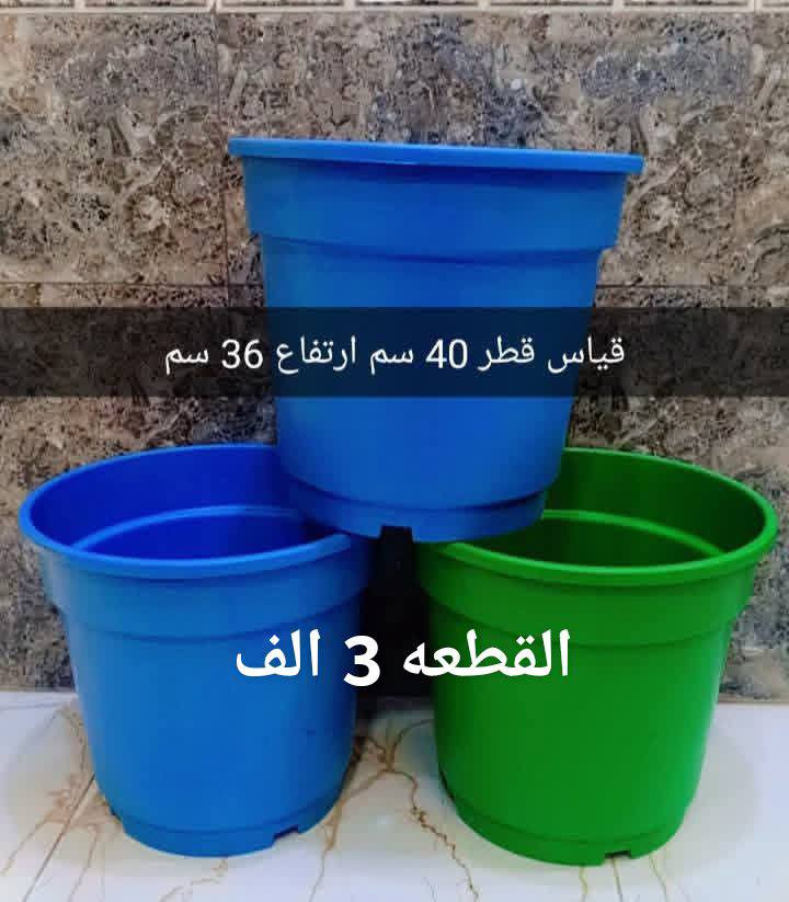 يتوفر لدينا جميع اكسسوارات نباتات 🕊️🐼🦊 توصيل كل محافظات العراق 🚕 
الزرع لعرض فقط 🪴 
يتوفر جمله ومفرد 🦊🐼 
سارع لحجز كميه محدوده 🎊 
حجز على خاص ☎️
☎️***********📞
