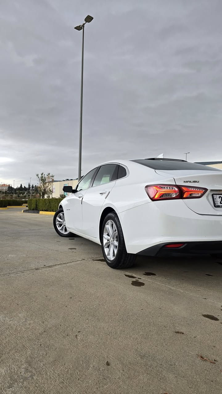 شۆفلێت مالیبۆ مۆدێل 2020 مواسەفات LT
سەیارەیەکی  تا بڵێی جوان و کەشخەو ڕاقی و گەنجانە و عایلەی

سەیارەکە زۆر تازە و جوانە هی دەستی خۆمانە و هی مەعرەز نیە 129,000 کیلۆمەتر ڕۆشتووە.
چەمەلەغی لای سەکن پێشەوە بۆیاخە ڵەگەڵ پەڵەیەک لە بۆنیتەکەی بە هیچ شێوەیەک ناوی نەگرتووە.
ئێرباگ بەس شان تەقیوە سیستەم کراوەتەوە مەزبوتە
کامل سێرڤسە تازە ڕۆنی گۆڕاوە و ٤ تایەی لۆکی لەسەرە 
سەنەوی و ڕەقەم و ژینگەی تا  2028 تازەیە 
سەیارەکە ماڵی دۆستە مەکینەی ١٥ ی تۆربۆیە برغوی بانەدراوە. بە شەرتی دار و بەرد
شەغال تەبرید مەرکەزی کوشن گەرم 
 نمونەیە لە جوانی دوو دەرگای سەکن کەمێک شوێن PDR ی هەیە چاک نەکراوە
تەحویل و خرامە بە شەرت سەنەوی بە ناوی خۆمانەوەیە
لە سلێمانیم
ڕەقەم تەلەفون : ***********

سعر : 129 گەڵاو مەعامەلەیەکی برایانە
