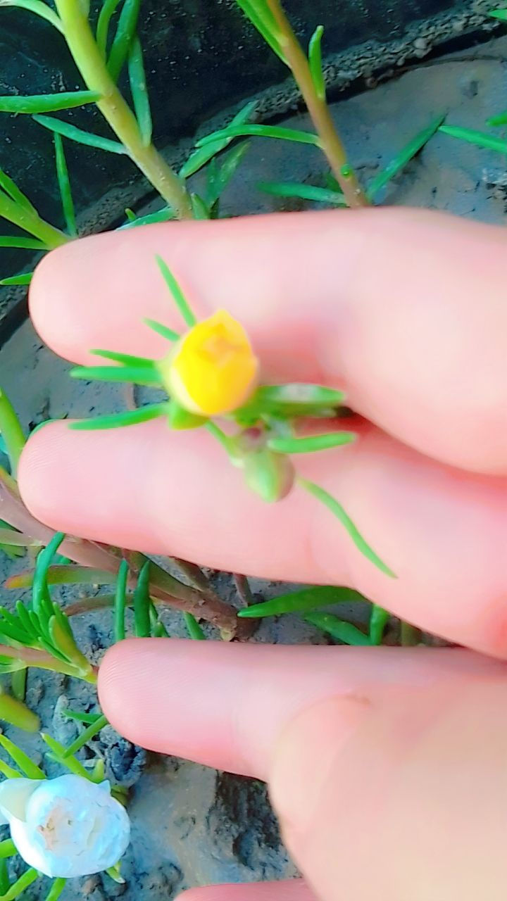 السلام عليكم متوفر ثمن الوان من ورد الصباح


**إذا كنت صاحب هذا الإعلان وتريد حذفه لأي سبب، رجاءا أرسل رسالة إلى الدعم الفني**