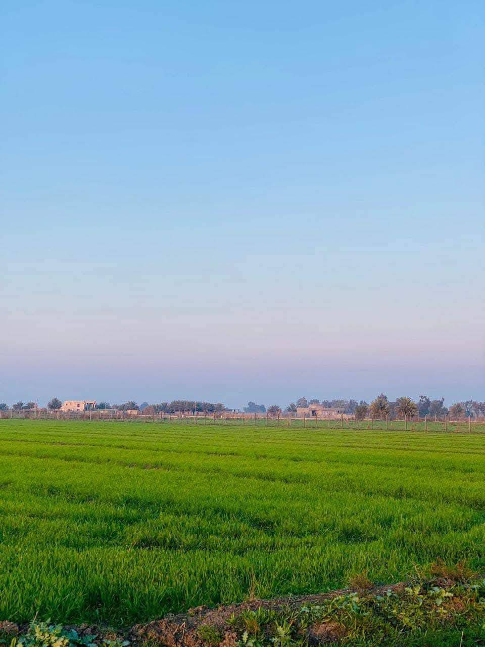 السلام عليكم 
ارض للبيع لاصحاب الامكانيه القليله 
جايبلك 6 دوانم السعر 7 مليون قفل للدونم الواحد
ابد مابي خساره وخدماته ماء وكهرباء وطريق وواجهته مرتبه
تباع حسب الطلب جنس الارض طابو سند 25 فتح بيان بأسم المشتري العنوان تاجي سبع البور منطقة الشيخ عامر (منطقة العيساويه عبور الجسر الثاني منطقة سكنيه وزراعيه) عيش رفايهيتك وسعار مرتبه وحلوه وفرصه ذهبيه ما تضيع ان شاء الله تشتري ب 7 بعد كم شهر تبيعه ب 15 ووالله العضيم ابد ماكو خساره وكلام معروف انو العقار مابي خساره وهواي ناس اشترت بلشيخ عامر واطرافهه واتساب *********** 🌳🌳
