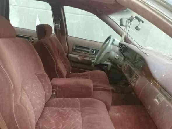 السلام عليكم دولفين محرك وكير بلاد سنويه لل29مشروع وطني البدي شوف العين العنوان بصره قضا المدينه التواصل ع الرقم *********** السعر 25وبيها مجال
