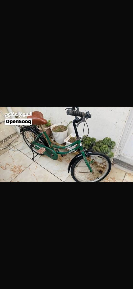بايسكل للبيع السعر ٤٥ المكان الدوره ال ١٢٠


**إذا كنت صاحب هذا الإعلان وتريد حذفه لأي سبب، رجاءا أرسل رسالة إلى الدعم الفني**