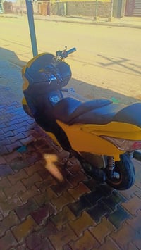 فورزة • ٢٠٠٨ • زنون