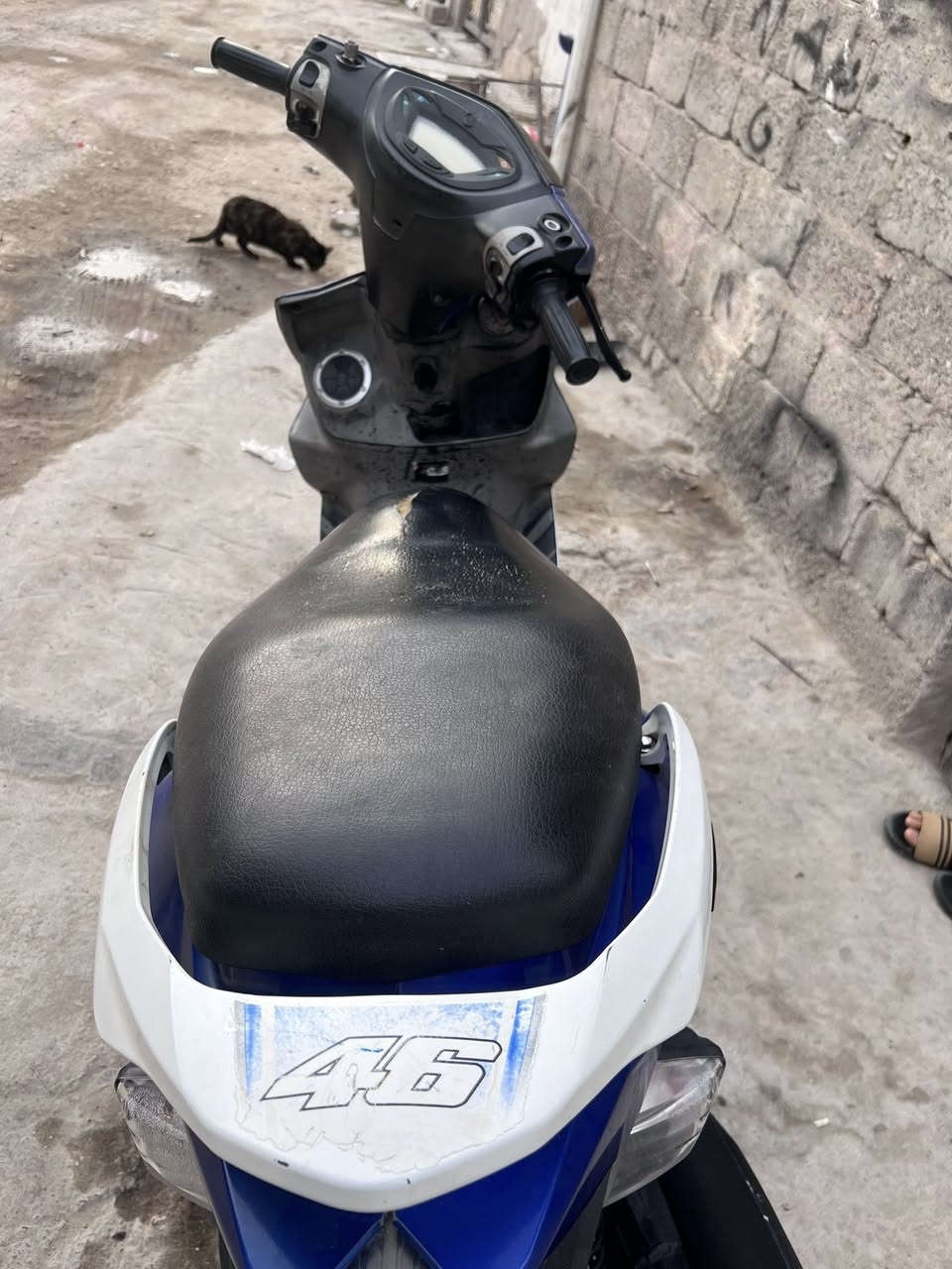 جيتي ار
مكينه بلاد رياضي 
كور بصمه
Aeon
دراجه ناعمه ونكره
شلعه معدل فول
اي نقص مابيها
مكان شعب سعر 950


**إذا كنت صاحب هذا الإعلان وتريد حذفه لأي سبب، رجاءا أرسل رسالة إلى الدعم الفني**