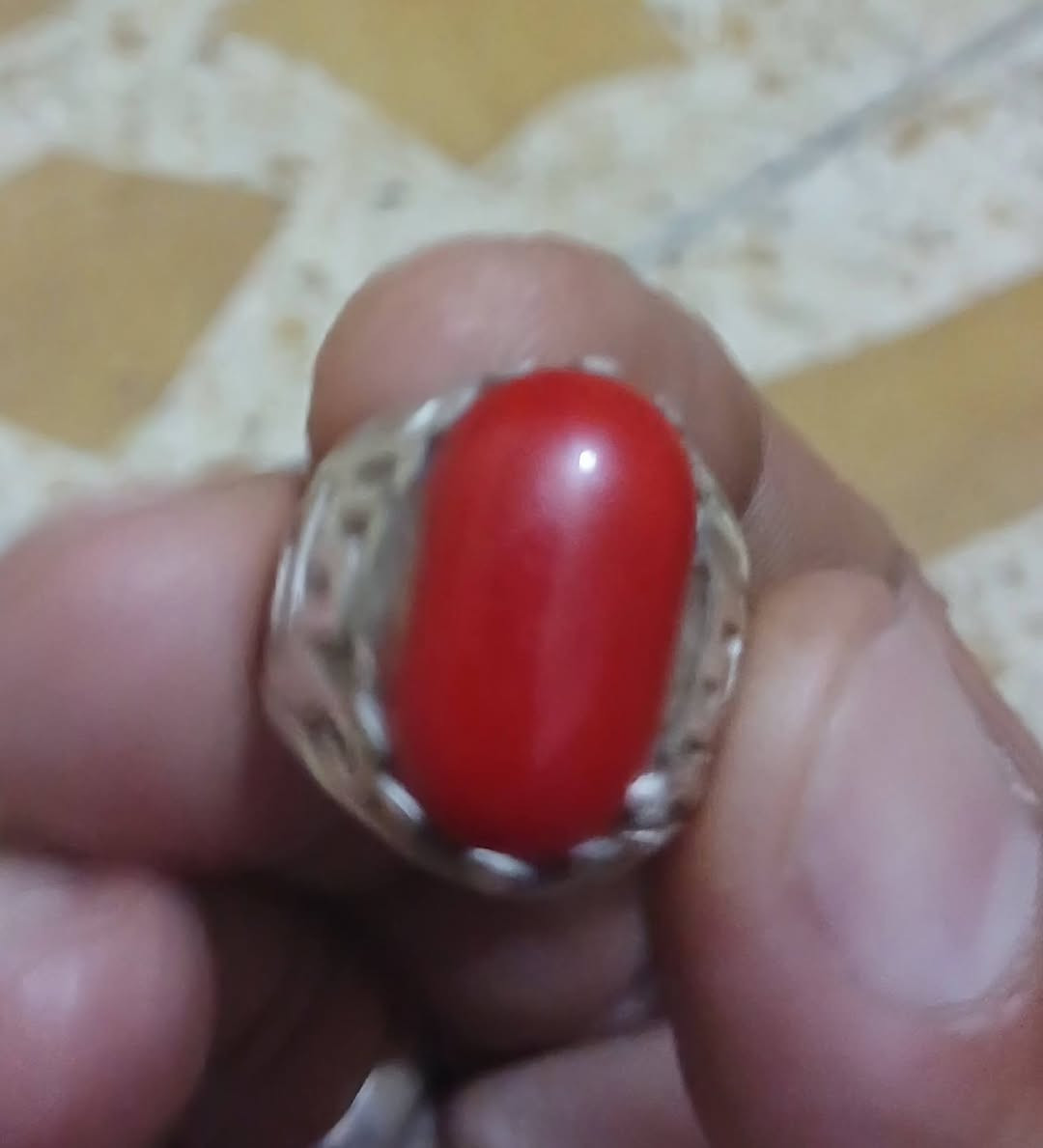 #الجميع لعشاق المرجان للبيع فقط مكاني بغداد يوجد توصيل


**إذا كنت صاحب هذا الإعلان وتريد حذفه لأي سبب، رجاءا أرسل رسالة إلى الدعم الفني**