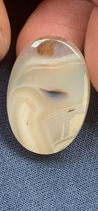 طحلبي طبيعي • أكثر من ٦٠ شكل • سعر مناسب