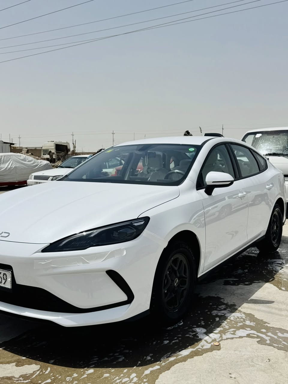 بي واي دي سيل 5 
موديل 2025
سيارة زيرو الممشى الكلي 800 فقط  
مكفولة كفالة عامة ، ماعدى بارد بسيط بلجاملغ الخلفي و الجنطة و شخوط بلدعامية كما موضح بلصورة الباقي كفالة من كلشي 
رقم بغداد الجديد مميز باسمي تحويل مباشر 
غراضه و الملحقات كامله بصمه و كارت و ارضيات من فوم و منفاخ اطارات والماسحات والشاحن اصلية 
للاستفسار / ***********
مكان السيارة : المثنى - قضاء الخضر  

٠
