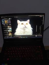 Black 15.6", FHD, Anti-Glare, IPS-level, 144hz Intel Core i7-12650H Pr...