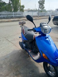 فراشه فحل • سعر خاص • بصرة قضاء دير