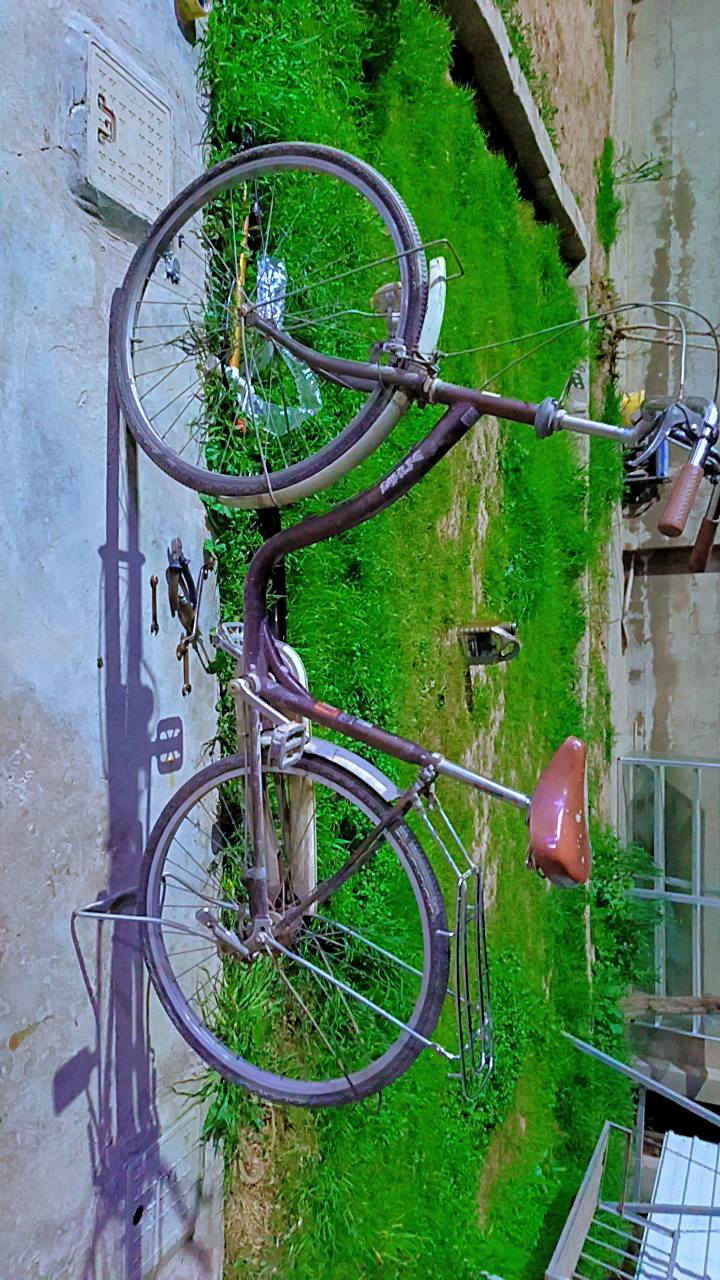 باسكل لبيع الي يريد شلع أحسب على 50 الف وإذ مفرد همين على 50 الف


**إذا كنت صاحب هذا الإعلان وتريد حذفه لأي سبب، رجاءا أرسل رسالة إلى الدعم الفني**