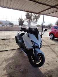 تيماكس • نظيفه • ورقة مزاد