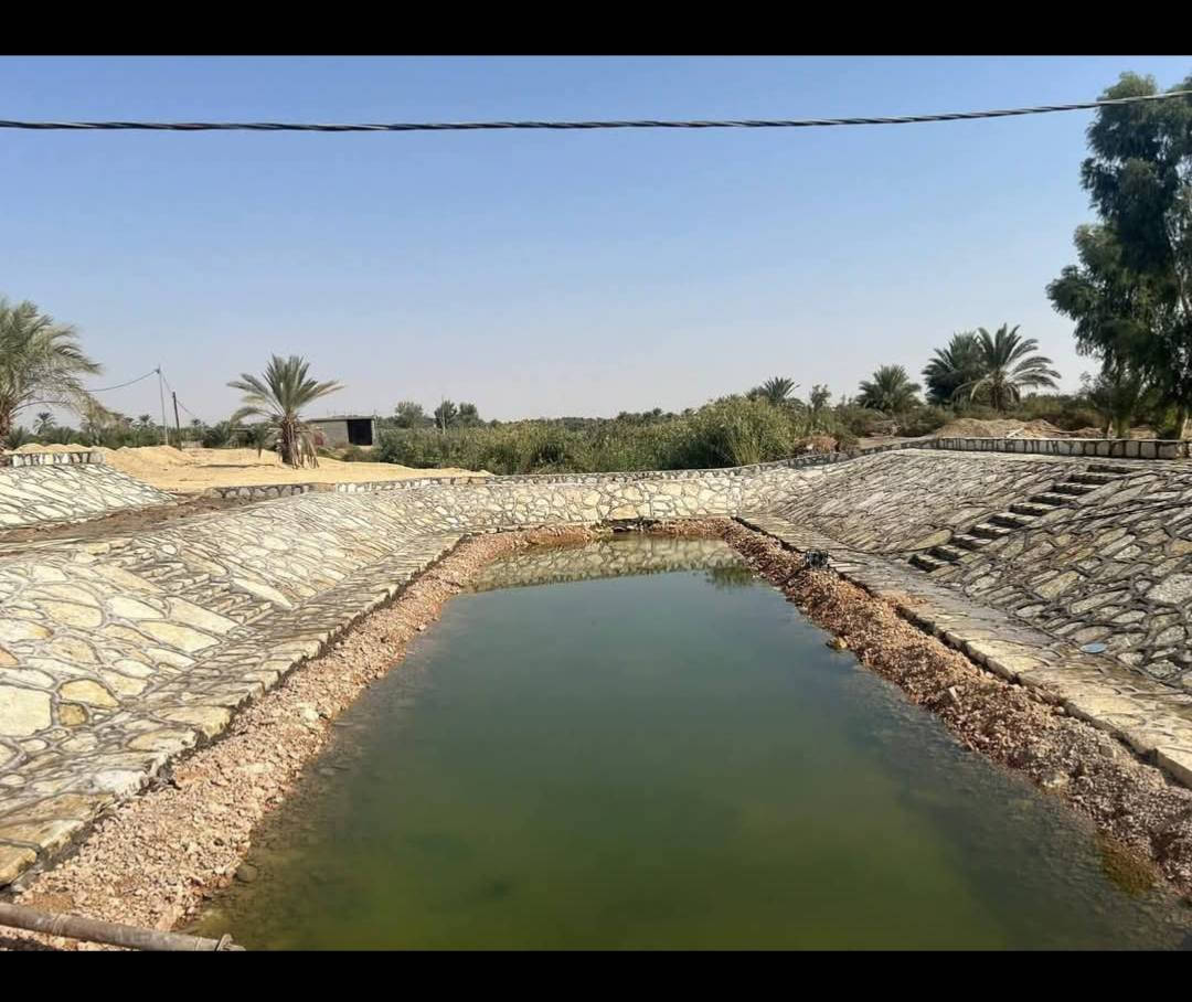 السلام عليكم خلفة بناء الحجر الاستفسار والتفاصيل اتصال او على الخاص ***********
