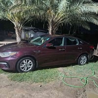 ابتيما امريكي 2016لبيع  07849544087