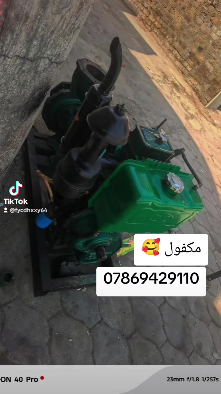 تاج النجوم الاصلي 10 حصان مكفول بابل الشوملي ***********
