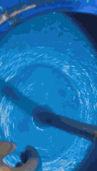 زاهي درجه اولى رغوه كثيفه وضخن يجنن توصيل لباب ما عجبكم يرجع ويه المندوب ***********
