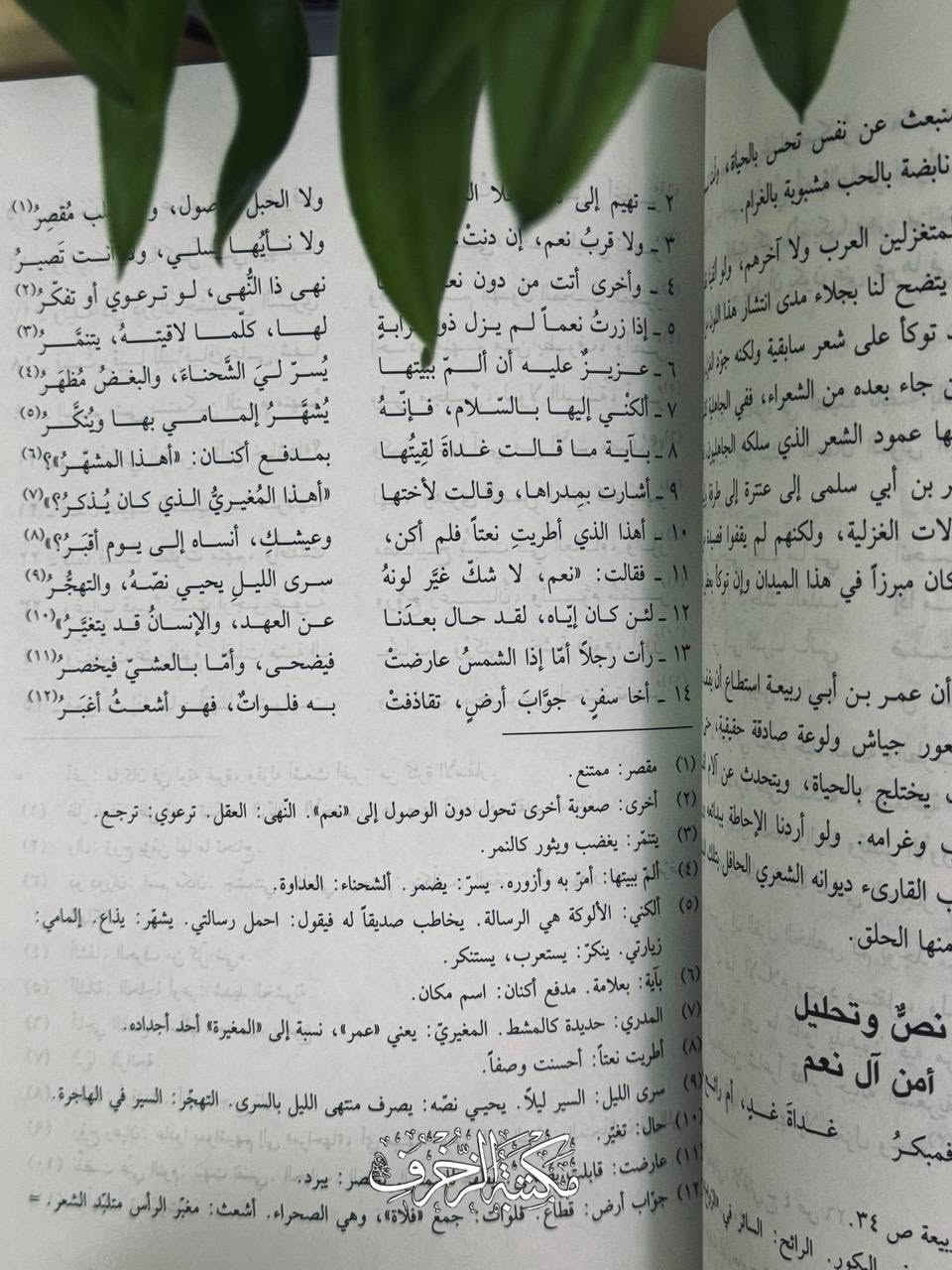 لَقَد سَلَّطَ المُؤَلِّفُ الضَّوءَ عَلى قَصائِدِ الحُبِّ لَدى شُعراءِ العِشقِ وما خَلَّفوهُ مِن لَوعَةٍ وحرمانٍ وتَعَفُّفٍ فِي قَصائِدِهم

📜 غَزَليّاتُ الشُّعراءِ العَرَب

» تَأليف: سَلمان هادي طُعمة
» النّاشر: دار الآفاق الجَديدة، بَيروت- لُبنان

🔱 السِّعر: 5 آلاف

#مكتبة #أدب #ديوان #شعر


**إذا كنت صاحب هذا الإعلان وتريد حذفه لأي سبب، رجاءا أرسل رسالة إلى الدعم الفني**