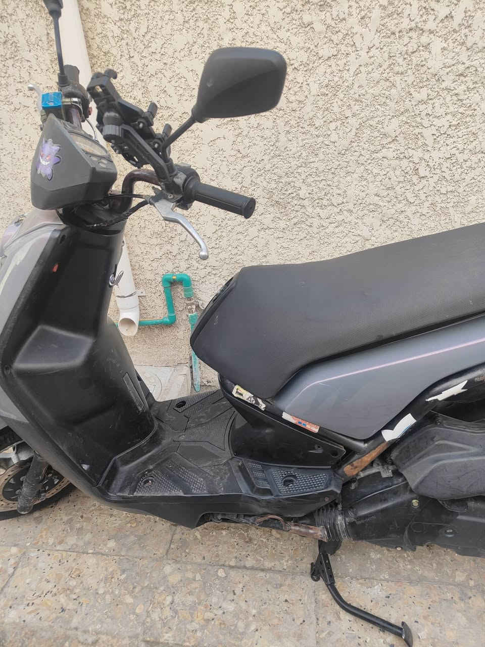 سكنس جبلي مراوس ببريز او ثعلب جديدة مكاني بغداد ***********
