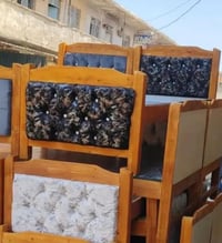 تخت نفر • جديد • تواصل خاص