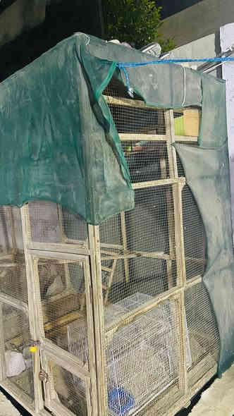 السلام عليكم 
متاح قفص درجه اولى
يصير الى كل انواع الطيور 
ارضيه خشب بلوك 
السكف  فايبر 
ارتفاع  2متر /طول ٢متر /العرض متر و25 
استخدام اقل السنه 
يحتوي على 9بقالات طيور حب 
السعر ب60وبيه مجال 
المكان حله مركز  قرب جسر بته 
الاستفسار على الرقم ***********
او خاص
