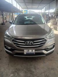 سنتافي • ٢٠١٧ • وراد امريكي