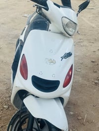 دراجة • كربلاء طوريج • فحل