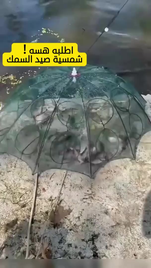 شمسية صيد السمك السعر 25 مع التوصيل مجانا


**إذا كنت صاحب هذا الإعلان وتريد حذفه لأي سبب، رجاءا أرسل رسالة إلى الدعم الفني**