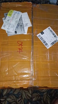 مجسم رايدن شوجون • ٥١سم • ريزن PVC