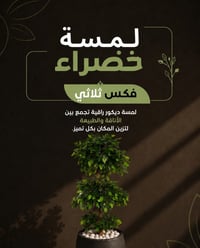 فكس ثلاثي 180cm 🌿  بتصميمه الثلاثي المتناسق وأوراقه الكثيفة ذات المظهر...