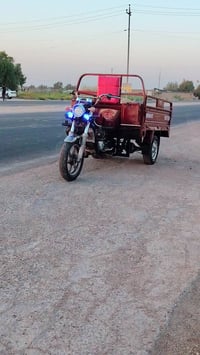 ستوته • مكفوله • مديل١٦