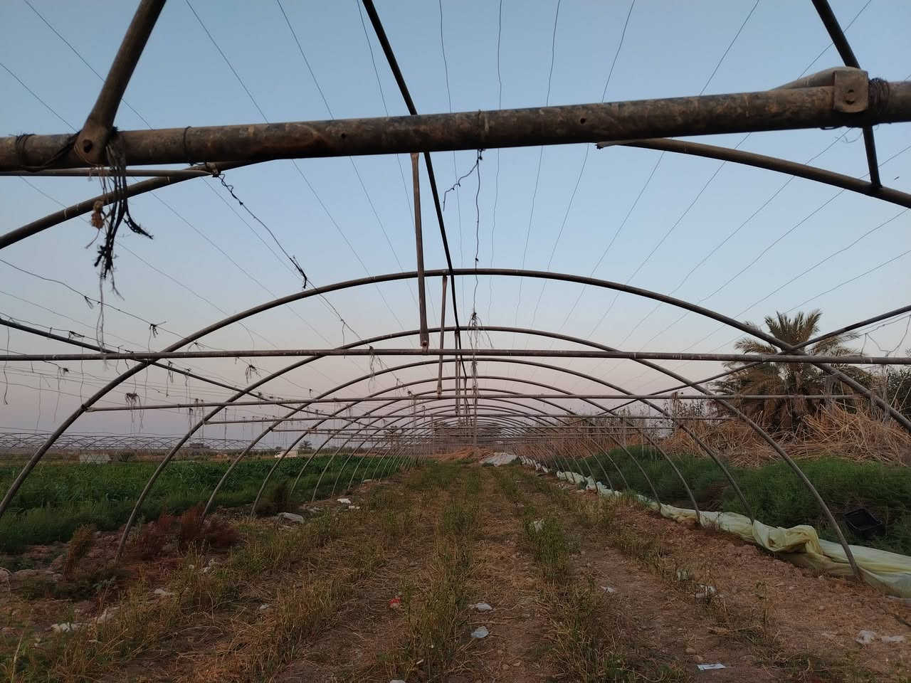 للبيع: هيكل بيت بلاستيكي زراعي
📍 المكان: المدائن - سلمان باك - منطقة الخناسه
🔧 الحالة: هيكل حديد جاهز للزراعة
الهيكل مع نايلون. /صوندات / وسيام
طول 50 والعرظ 9
📞 للاستفسار والشراء: ***********

