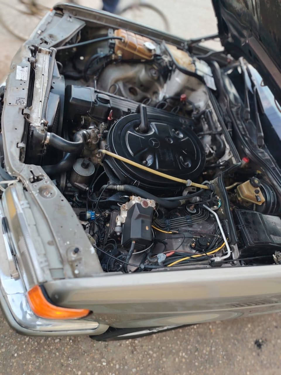 مارسدس موديل ١٩٨٧
اللون جوزي بني 

صبغ عام .

سيارة بلادي شلع 

محرك  كير  مكفول ٣٠٠ se 

تايرات عدد ٤ جديد 

صدر أمامي خلفي مكفول 

فتحة طكتين 

كروز سرعة مثبت 

ستيرن كهرباء دبل اريل 

دبل فيت بم جديد منظومة كلها جديدة 

غرفة مخمل كهرباء كلها بلادي وشغال كل الكهربائيات

كشنات كهرباء تجاوي كهرباء

تبريد منظومة جديدة مكفول تبريد ثلج 

دبل مروحة صاجيات بلادي داخل السيارة كلها بلادي

لايت زنون ماسحات لايت جمالية جمالية

رقم بغداد مشروع وطني 

عنواني بغداد الكاظمية سعرها 70 $ بيها مجال 

رقم الهاتف 

*********** واتساب واتصال
سيارة بالشوف احلى  من الصور
