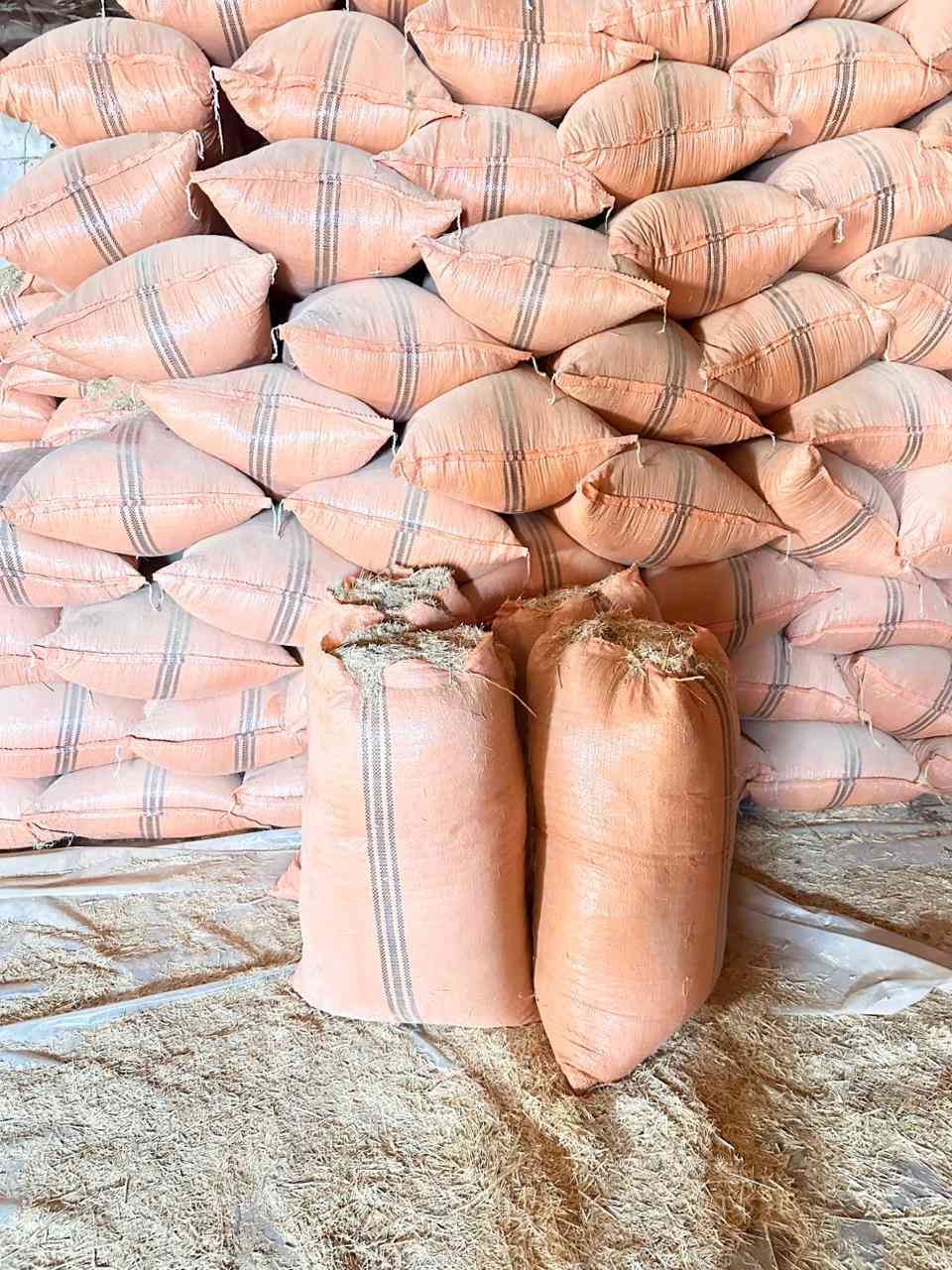 السلام عليكم ورحمه الله وبركاته
تبن للبيع عنوان سامراء شليف أبو 60 ترس فول سعر الزوج 3000  واصل  للمناطق فقط ضلوعية بلد الدجيل يثرب بيشكان الأسحاقي  مراسلة الصفحة على المازنجر أو الأتصال على الرقم ***********
***********
