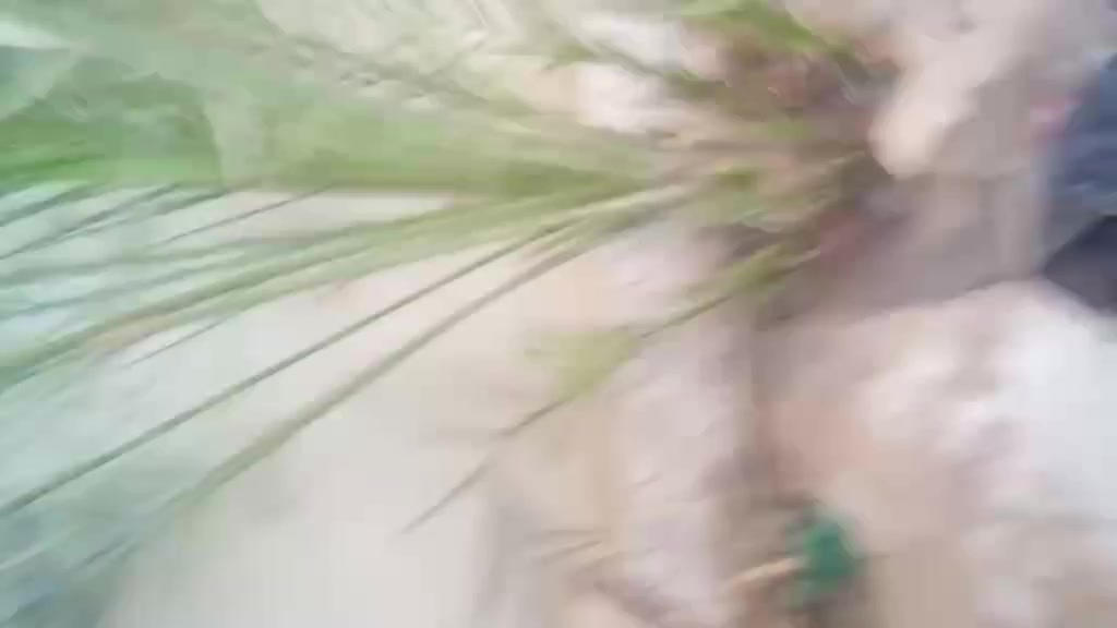 بيت للايجار مساحه ٢٢٠ م الاسكان الصناعي قرب المجسر مدرسه المعرفه  لمعرفه التفاصيل اكثر اتصال على الرقم *********** وتساب موجود
