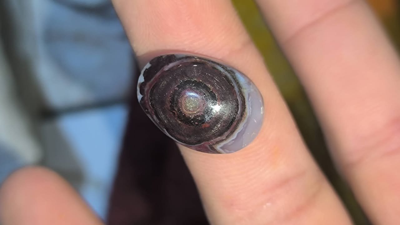 داودي يماني ملكي قطع تحف من نوادر 
اسعار مناسبة لجميع 
تعالو خاص وبخدمتكم


**إذا كنت صاحب هذا الإعلان وتريد حذفه لأي سبب، رجاءا أرسل رسالة إلى الدعم الفني**