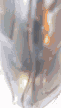 سلام عليكم شباب درجة شحن للبيع السعر 450 قفل الرقم ***********4
