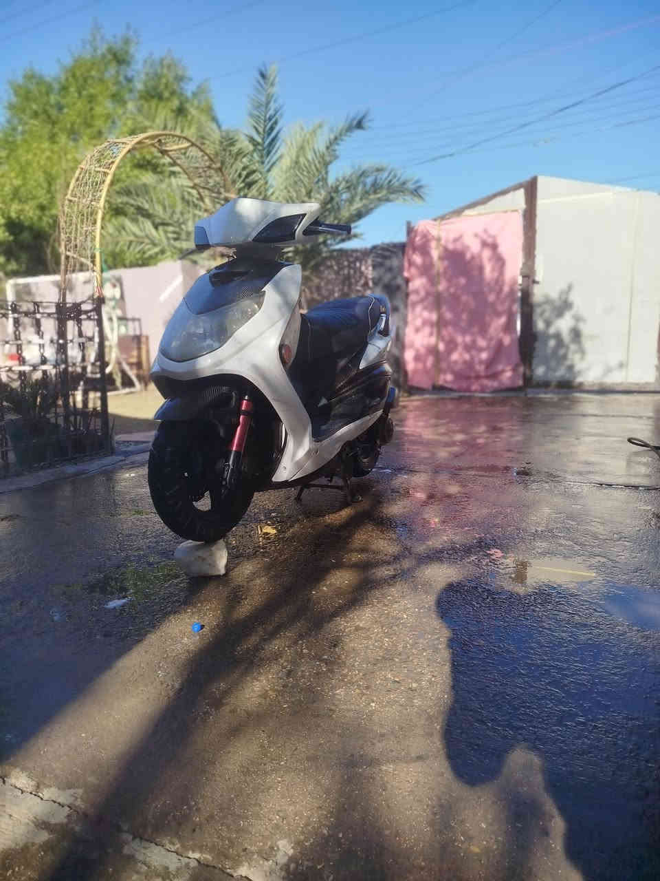 دراجه عليها تزويد خير من الله 

1-صدر جيمس كرزي 

2-دبلات خلفي كرزي بطل واكف 

3-فراك بريك كرزي NCY 

4-شمعه مكينه كرزي

5-قبق جوزه كرزي 

6-فج بريك نايسن ذهبي 

7-كشن رياضي اصلي مو عمل 

8-قطره اكسل كرزي 

9-زوج كلجات رياضي 

10-صالنصه بوري عدل 

11-قباقه كور كرزي 

12-ستدات كور سمائي 

13-نوزل 8 اح كي ار 

14-قبق فلاوين كرزي 

15-يدات مالوسي 

16-كور بصمه اصلي مو تجاري 

17-بوشه 59 تتمارك حديث 

18-روله 300 تتمارك 

 19-قبق بانزين كرزي

20-دراجه بيها سيت الياف حقيقي 

21-سبعه كاربون +إطار بانزين كابرون+جاملغ كاربون +سمجات كاربون + سبايدر كاربون + دشبول كاربون 

22-بك لايت خليه مشمشي 

23-دشلي + راجز رياضي 

24- سلف رياضي جبير 

نقص الدراجه جامات مال اشاير فقط 

سعر خاص بسبب ضعفاء النفوس هاي الدراجه كدام العين وكل تفاصيل الدراجه كدامك وصوره واضحه تعجبك اهلا وسهلا متعجبك هم اهلا وسهلا 

مكان الدراجه بغداد البنوك 

رقم ***********
