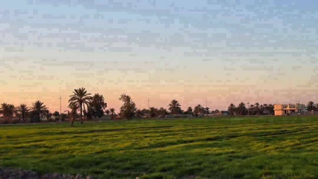 📢 السلام عليكم – عرض اليوم 📢
📍 الموقع: مقابل سبع البور – منطقة الشيخ عامر
📐 المساحة: 10 دونم

✨ تفاصيل الأرض:
✔ تقع قرب ذراع دجلة
✔ تبعد فقط 50 متر عن ذراع دجلة
✔ الأرض على الصب الروائي مباشر
✔ الأرض حالياً مزروعة كما موضح
✔ موقع ممتاز ومرغوب

🏡 الخدمات:
✔ ماء
✔ كهرباء
✔ إسالة
✔ قرب السكن
✔ قرب المزارع والشاليهات

🚗 تبعد فقط 3 دقائق عن جسر الشيخ عامر

📄 الطابو: طابو الفلوجة – سند 25
💰 سعر الدونم الواحد: 30وبي مجال 
🔥 السعر قابل للتفاوض
✅ تباع حسب الطلب

📞 للاستفسار والاتصال:
*********** 
📱 واتساب متوفر

🌹 حياكم الله ومية هلا بكم 🌹
