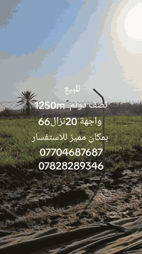 الراشدية بغداد • ١٢٥٠م • طابو زراعي